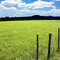 Field - Bandera TX