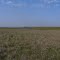 Flint Hills 02