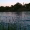 Sacramento River view