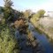 Morrison Creek (looking west)