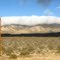 Mojave