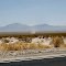 Twisters in the Mohave o= k