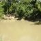 Guadalupe river