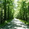 Old Highway 11
