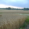 Off Rozell Rd