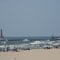 Pere Maquette Park beach with the Muskegon lighthouses