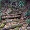Garden-like set of rock and log steps, tumbling stream to left, Giant rock wall to right