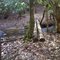 Vaught Branch Crossing 2
