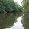 Little River near Spring Bayou, Marksville, LA