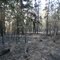 Burned Over...