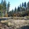 20 acres, power, pond, wildlife Goldendale WA 98620