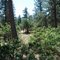 20 acres Bring your 4 wheeler or Horses!