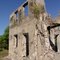 pineapple plantation ruins, Captain John F Horr house, Caxambas Fla (12-31-2010)