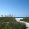 Tigertail beach, Marco island