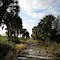 Old US 192 looking west toward the St Johns River