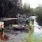 Loading Airboats on the St Johns River