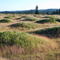 Mima Mounds Natural Area.