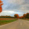 Road In Autumn