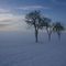 Snow-Covered Landscape