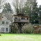 What a Tree House