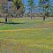 Prescribed fire rejuvinates the prairie
