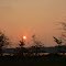 Maine sunrise. July 2010.
