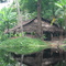 dolok island/provinsi papua