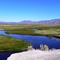 Owens River near Benton Crossing