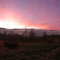 starr mountain view