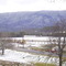Starr Mountain Frosty