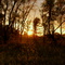 SMSU Wildlife Area Sunset
