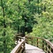 Green Space