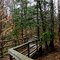 Congaree NP, SC