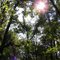 Congaree National Park