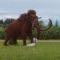 Mammoth 1