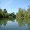 Spring on Lambert Slough
