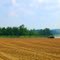 Missouri River bottomlands near Dutzow