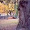 Mt. Pleasant State Home in autumn