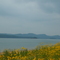 Cherokee Lake