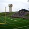 Big Cat Stadium