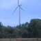 White tail deer in Pomme de Terre Park, WROC wind turbine in background