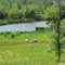bike path along river in Pomme de Terre park
