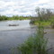 Goosecreek mouth at the Susitna River