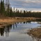 Spring Reflection