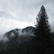 Yosemite Scene