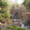 Cedar Creek