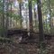 Sadsbury Woods Preserve