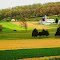 Amish Farm