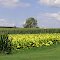 East Lancaster County