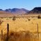 North of famous Marfa